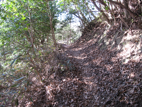 20190108hike (14)
